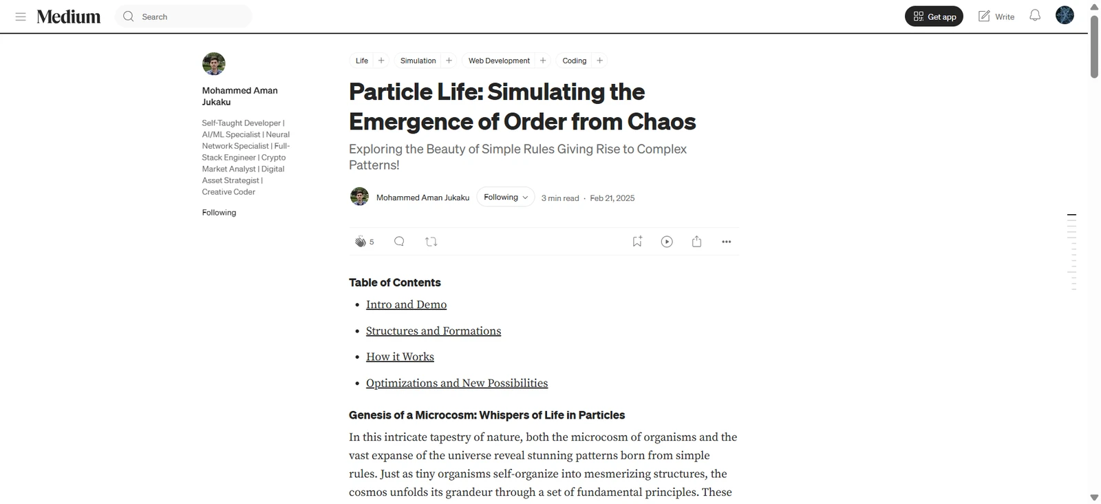 Medium article about the Particle Life Simulation